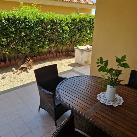 Noah 圣玛丽亚德尔法加洛